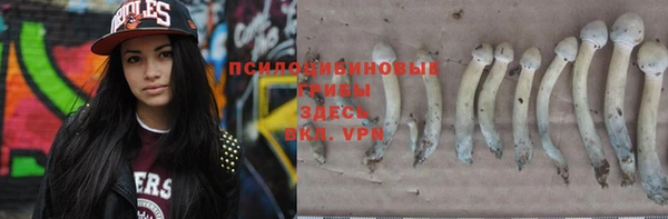 мет Баксан